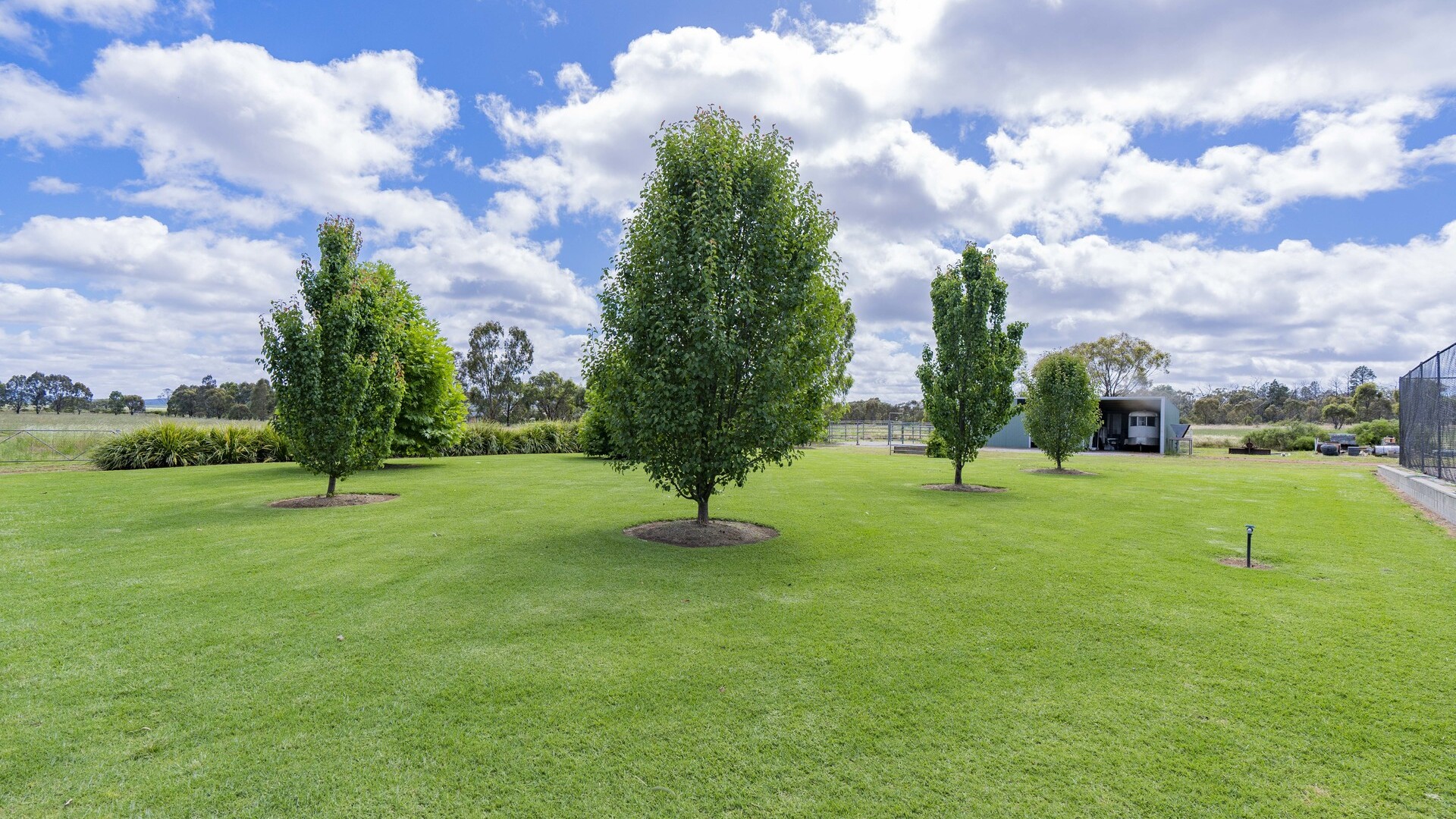 37 Stringer Road, Leeton NSW 2705 - photo 13
