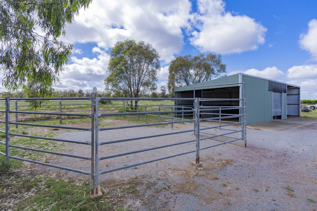 37 Stringer Road, Leeton NSW 2705 - photo 14