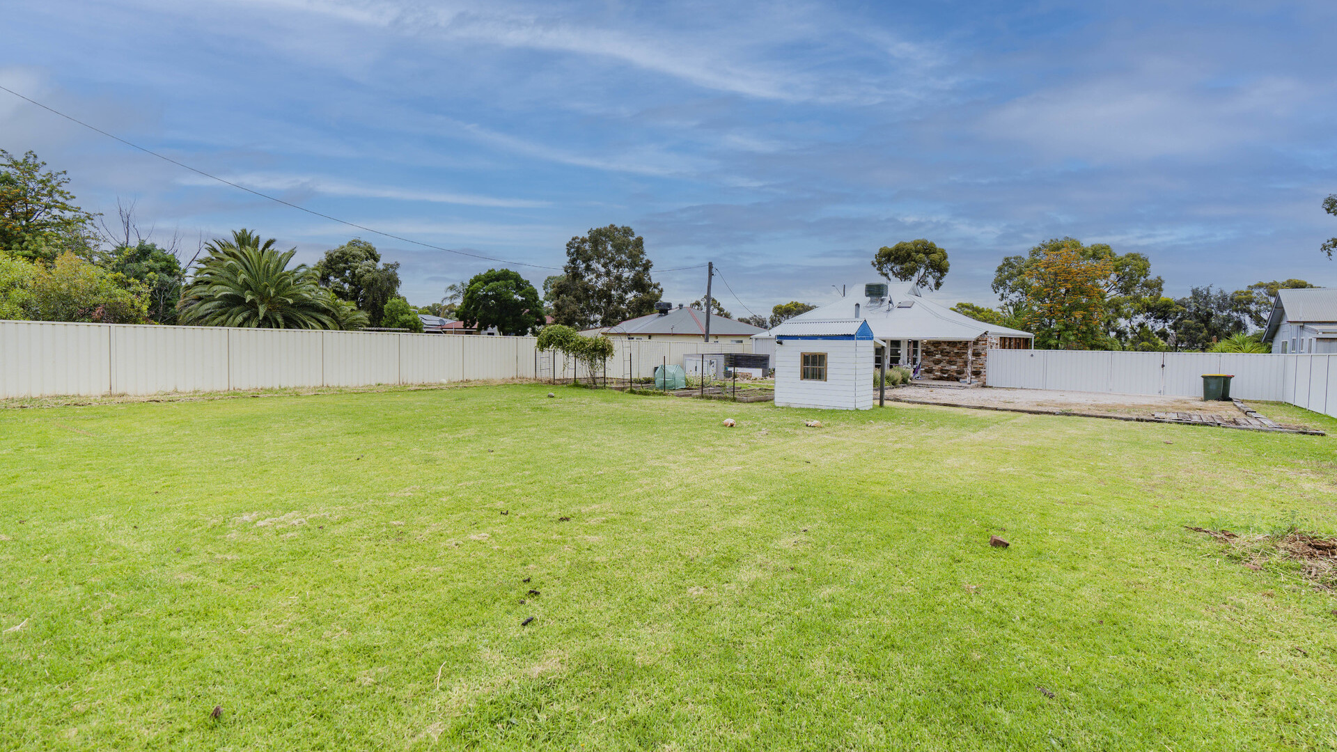 167 Palm Avenue, Leeton NSW 2705 - photo 11