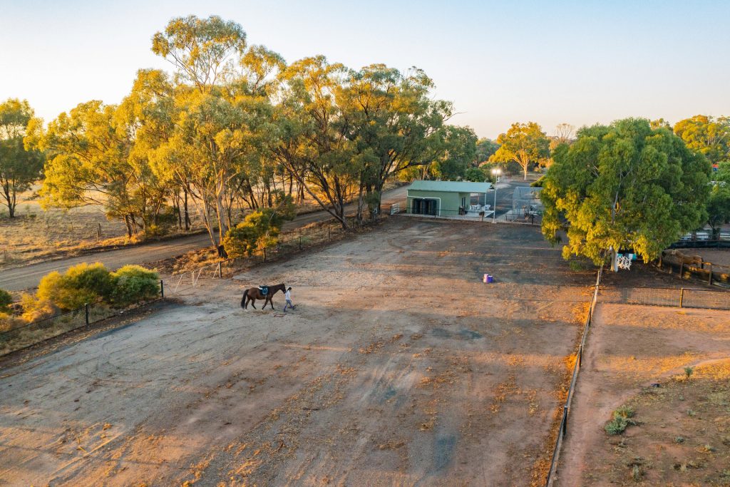 91 Rose Lane, West Wyalong NSW 2671 - photo 20