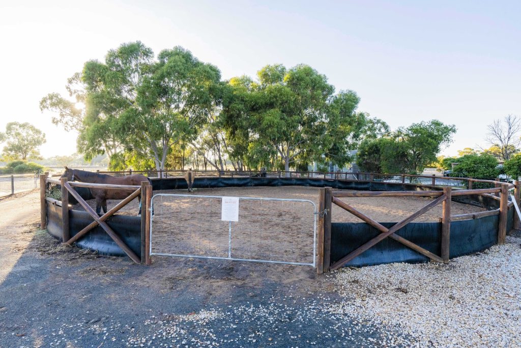 91 Rose Lane, West Wyalong NSW 2671 - photo 22