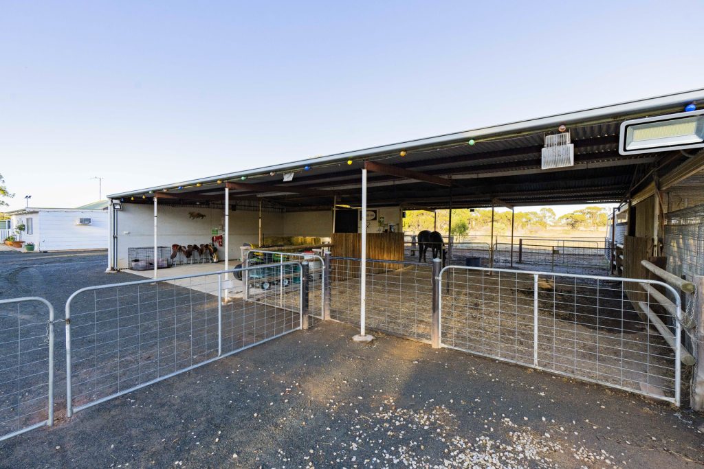 91 Rose Lane, West Wyalong NSW 2671 - photo 24