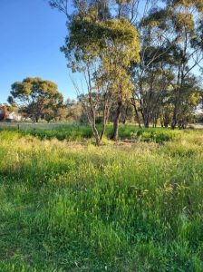 38 Humby Street, Kamarah NSW 2665 - photo 3
