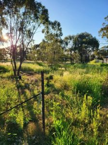 38 Humby Street, Kamarah NSW 2665 - McGrath Riverina