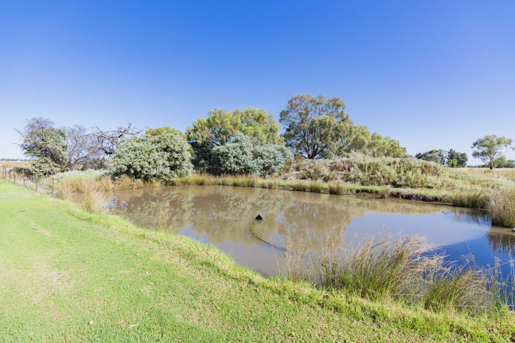 149 Murrami Road, Leeton NSW 2705 - photo 14