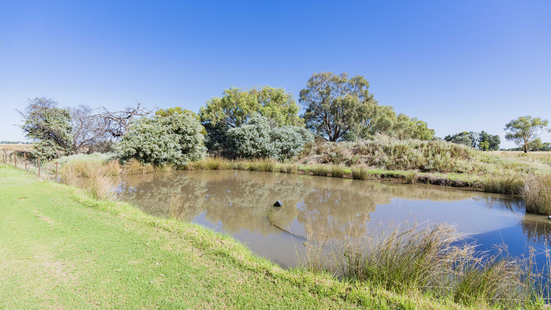 149 Murrami Road, Leeton NSW 2705 - photo 14