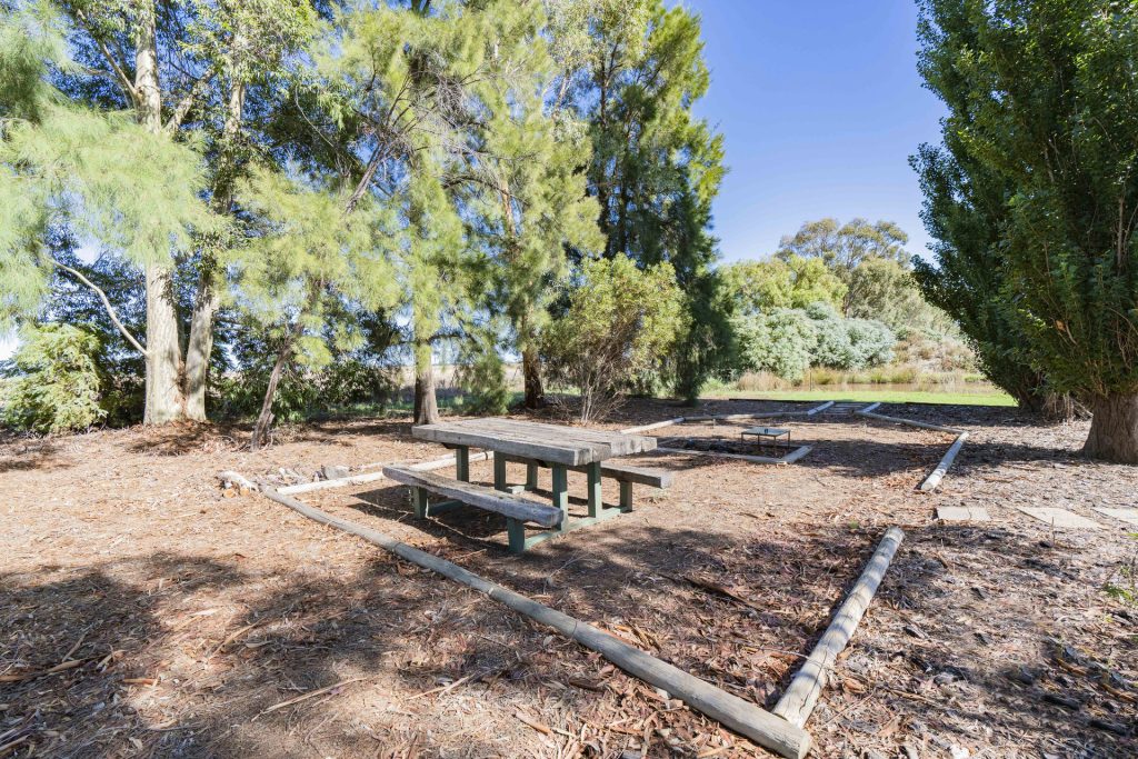 149 Murrami Road, Leeton NSW 2705 - photo 15