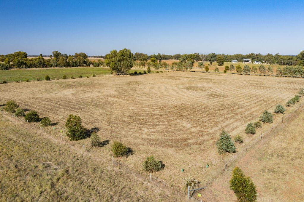 127 Treasure Street, Lockhart NSW 2656 - photo 5