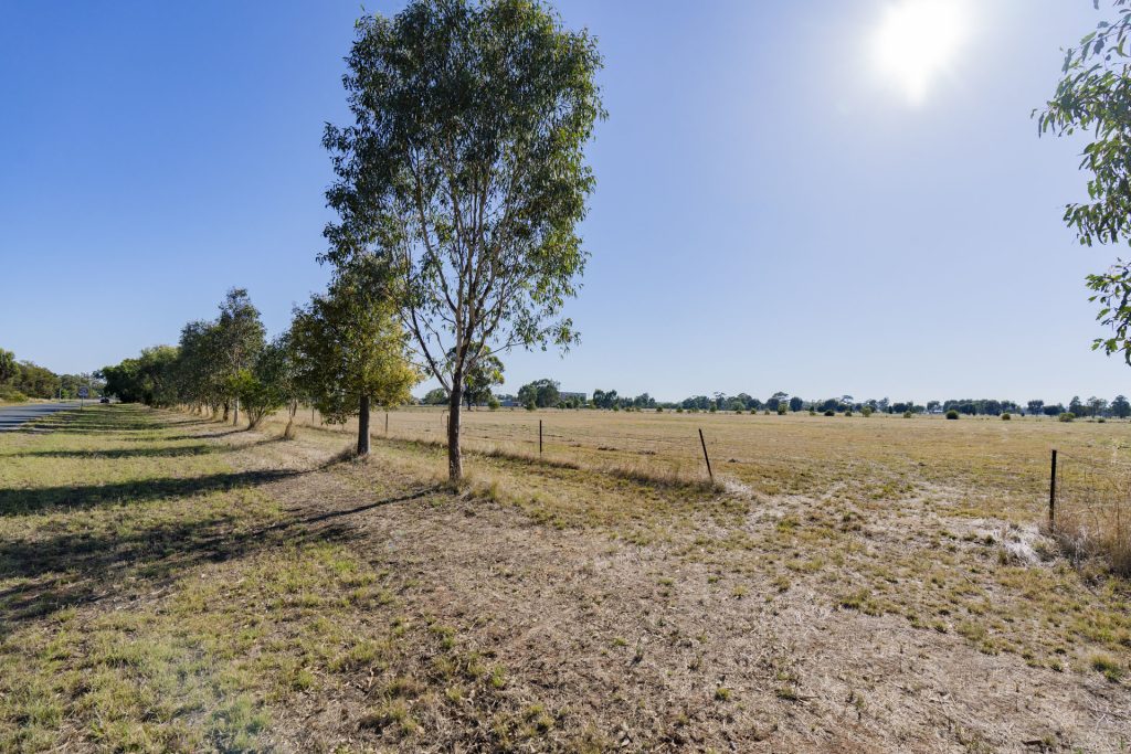 127 Treasure Street, Lockhart NSW 2656 - photo 6