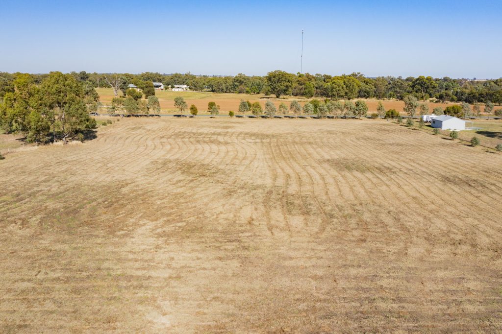 127 Treasure Street, Lockhart NSW 2656 - photo 7
