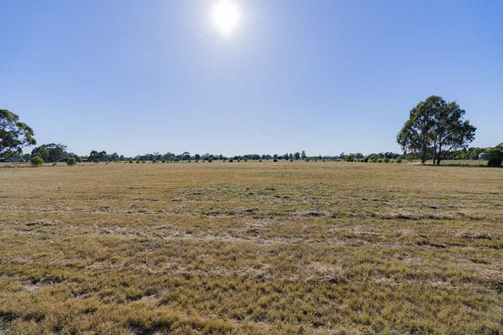 127 Treasure Street, Lockhart NSW 2656 - photo 8