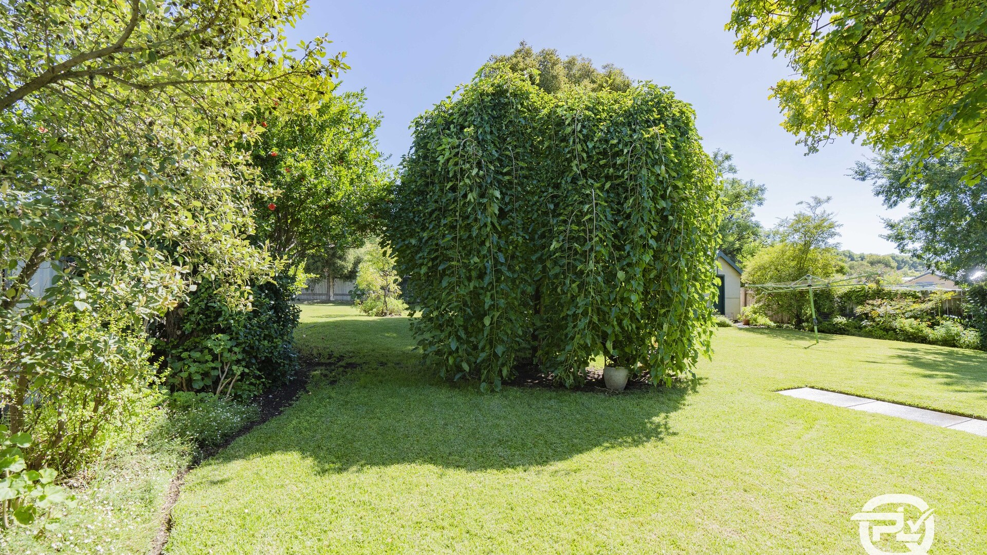 25 Elwin Street, Narrandera NSW 2700 - photo 22