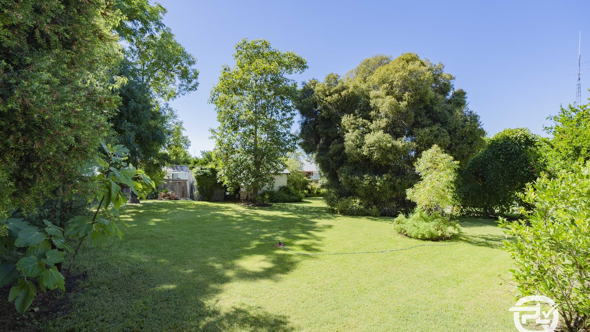 25 Elwin Street, Narrandera NSW 2700 - photo 23