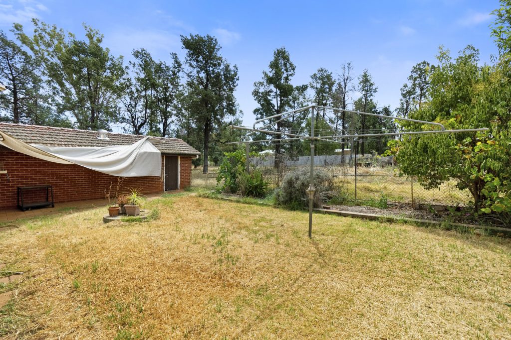 56 Warri Street, Ardlethan NSW 2665 - photo 15