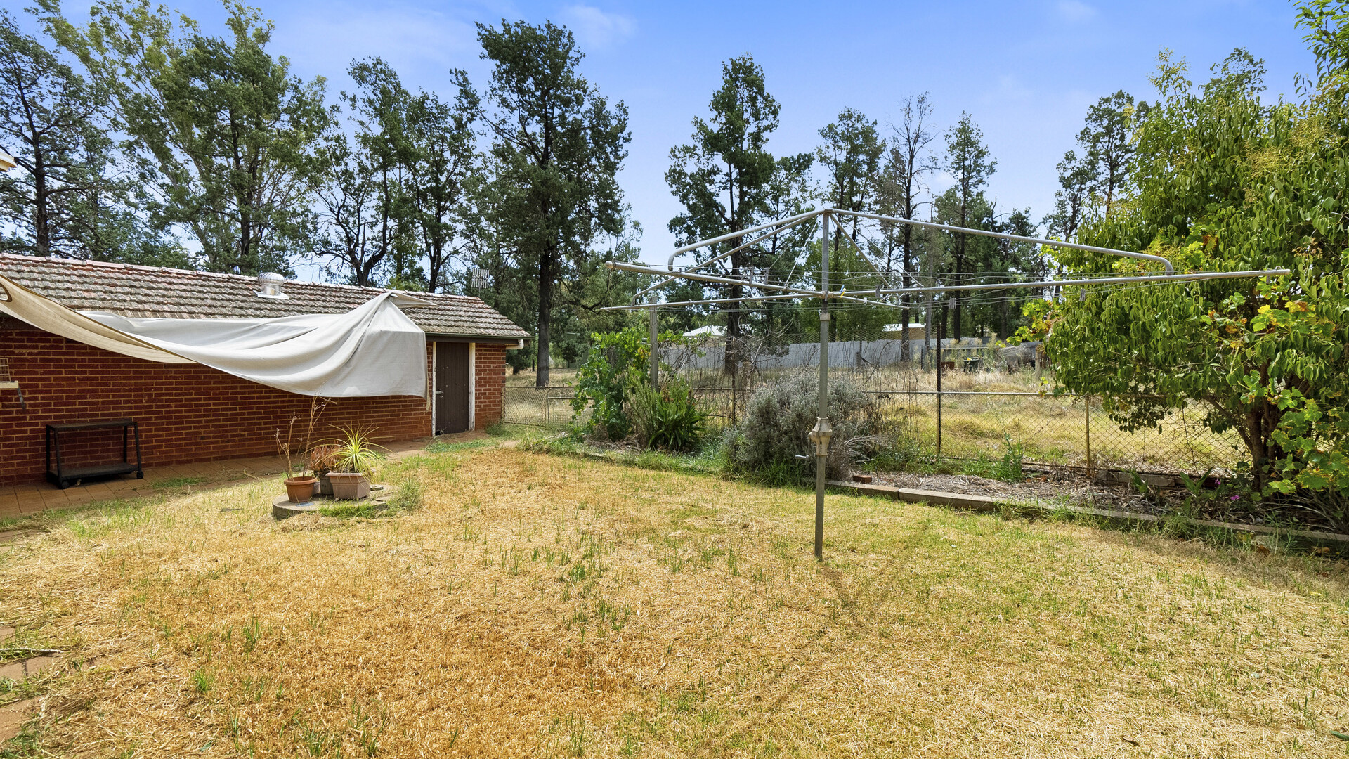 56 Warri Street, Ardlethan NSW 2665 - photo 15