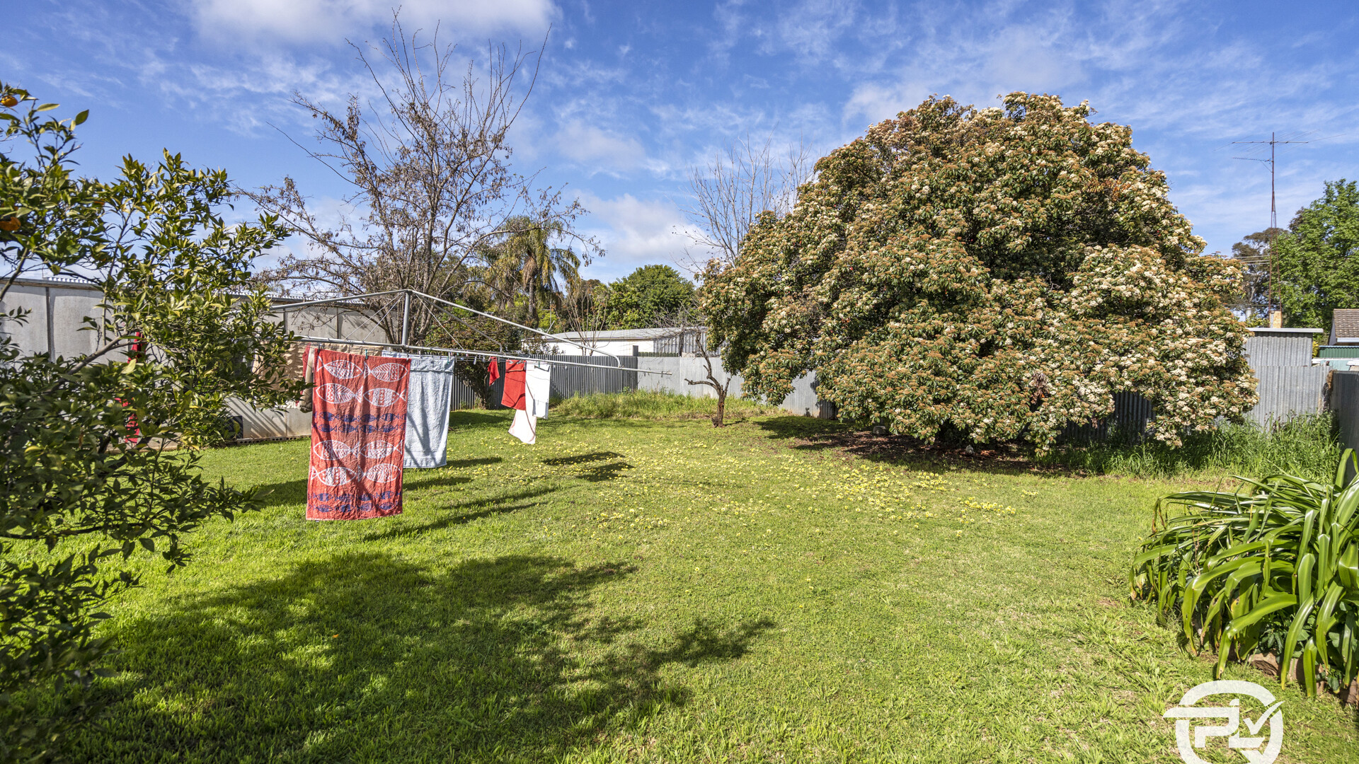 25 Russet Street, Leeton NSW 2705 - photo 11