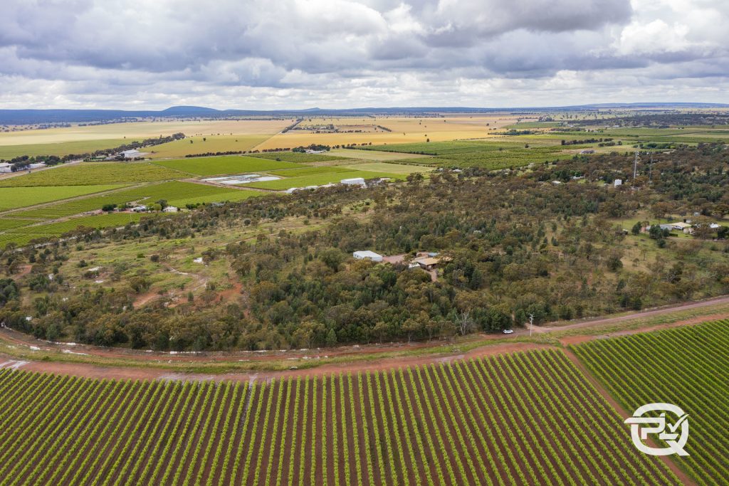 Sold - 340 Carbone Road - New Property in Leeton - Real Estate by Craig Tyrrell