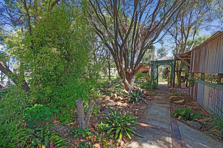 35 Ashton Street, Ariah Park NSW 2665 - photo 16