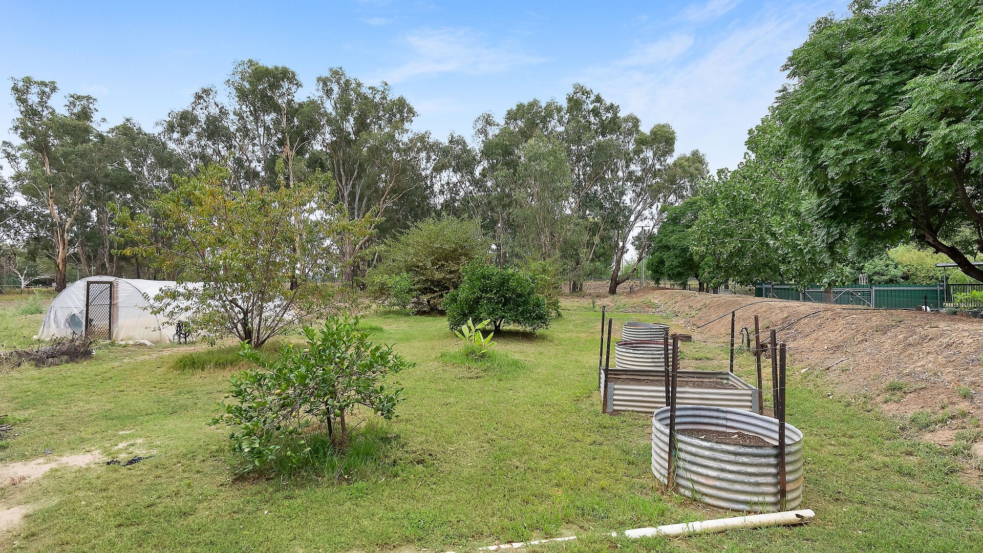 3 Weir Park Road, Narrandera NSW 2700 - photo 16