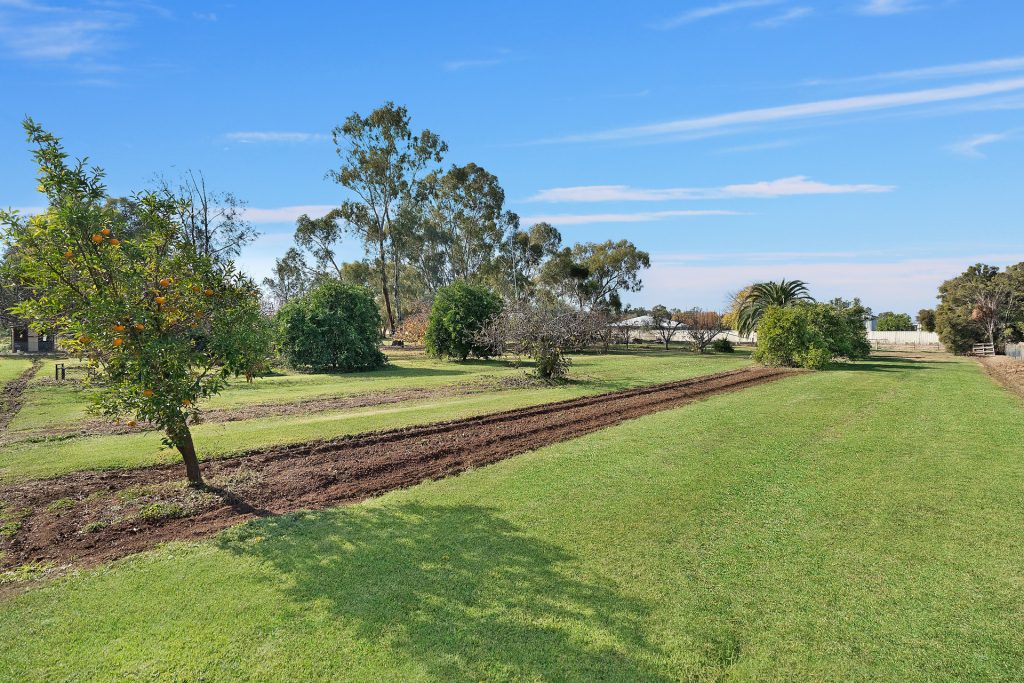 102 Petersham Road, Leeton NSW 2705 - photo 15