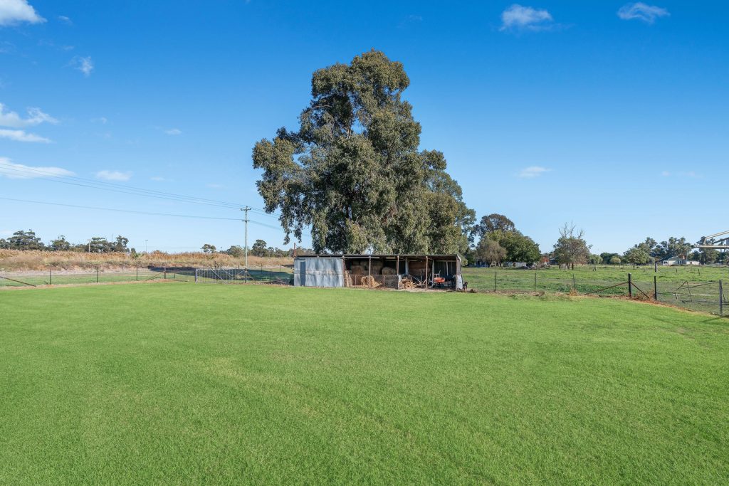 148 Davis Road, Yanco NSW 2703 - photo 16