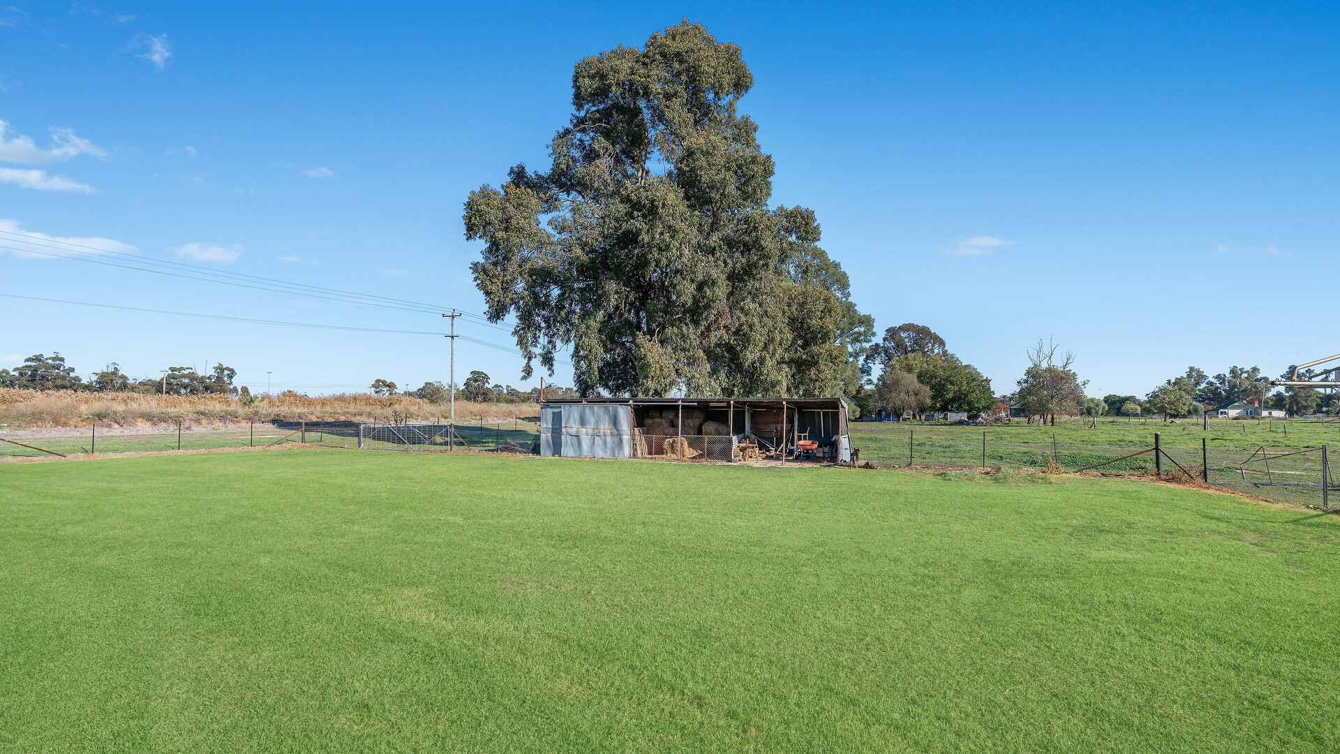 148 Davis Road, Yanco NSW 2703 - photo 16