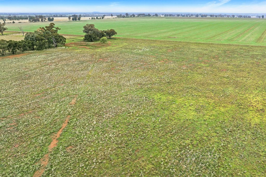 81 Grong Grong Station Road, Grong Grong NSW 2652 - photo 12