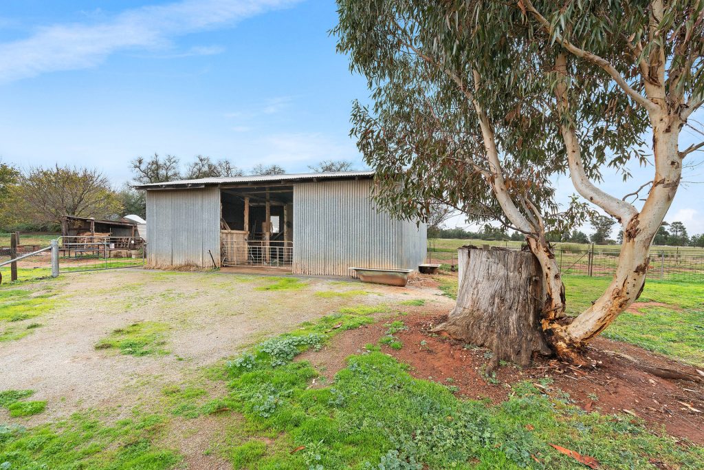 81 Grong Grong Station Road, Grong Grong NSW 2652 - photo 8