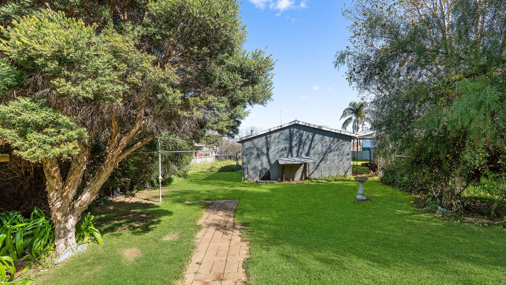 38 Dalgetty Street, Narrandera NSW 2700 - photo 12