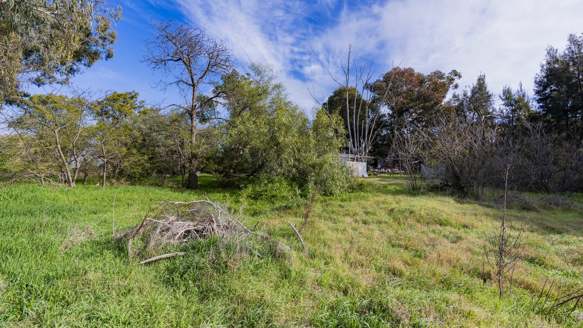 Sold - 15-17 Gundagai Street - New Property in Narrandera - Real Estate by Sophie Litchfield