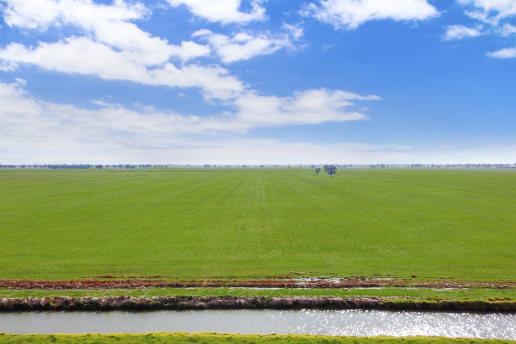 810 Barnes Road, Finley NSW 2713 - photo 2