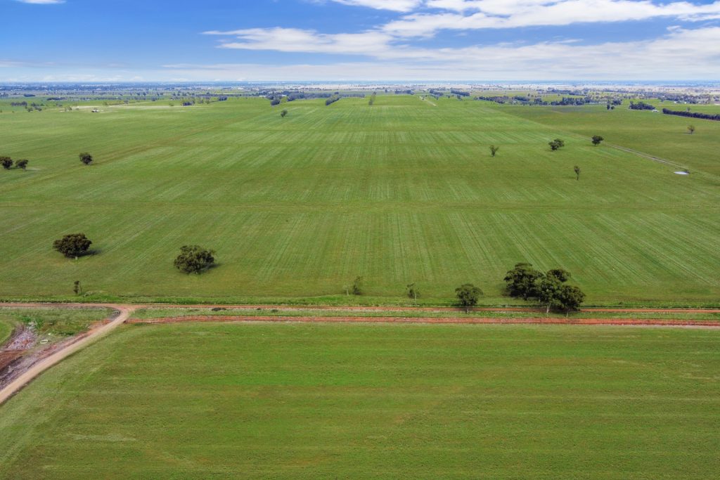 810 Barnes Road, Finley NSW 2713 - photo 4