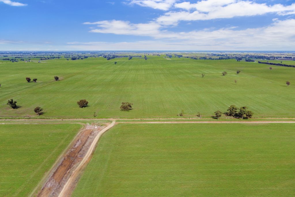 810 Barnes Road, Finley NSW 2713 - photo 5