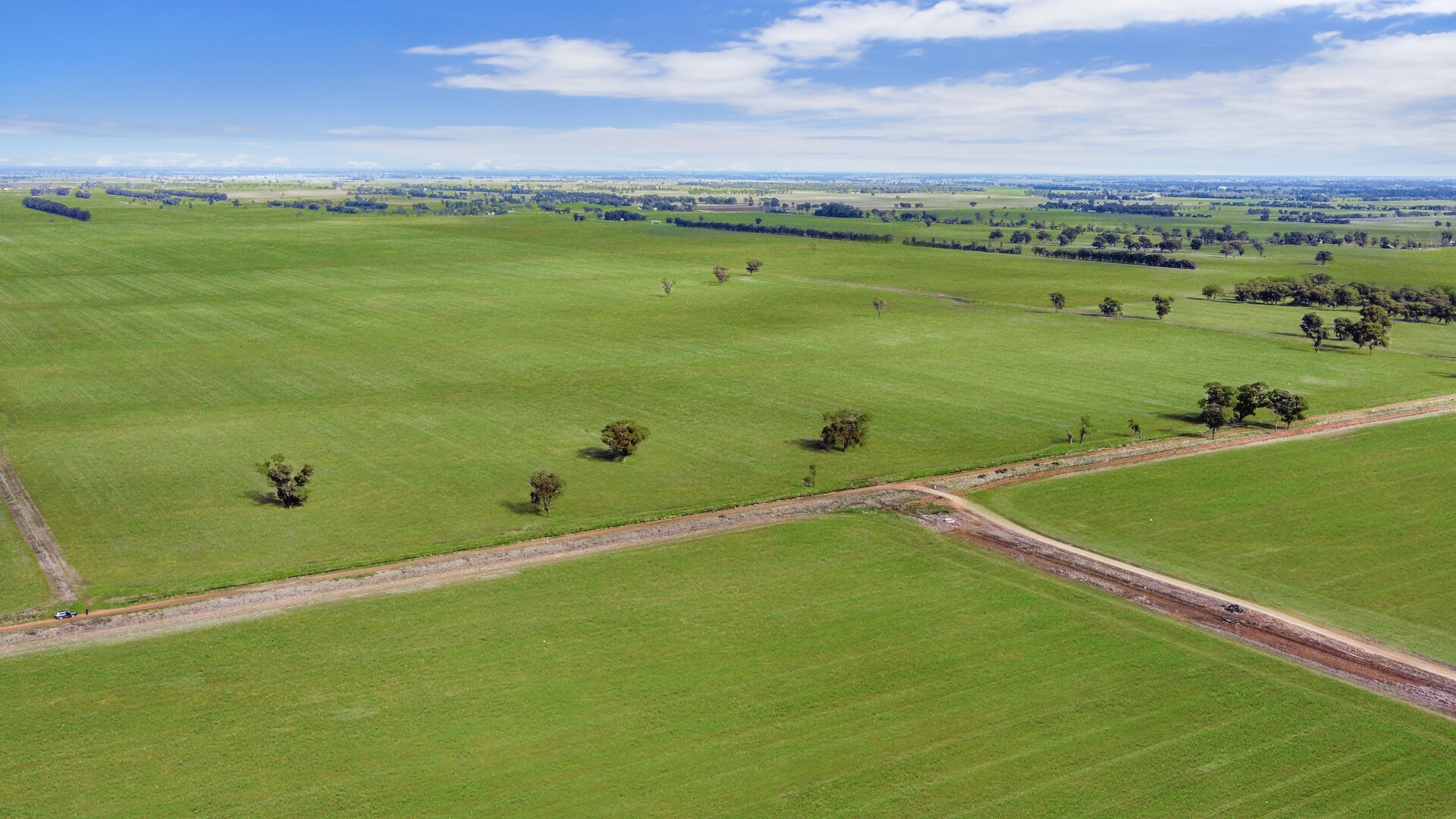 810 Barnes Road, Finley NSW 2713 - photo 6