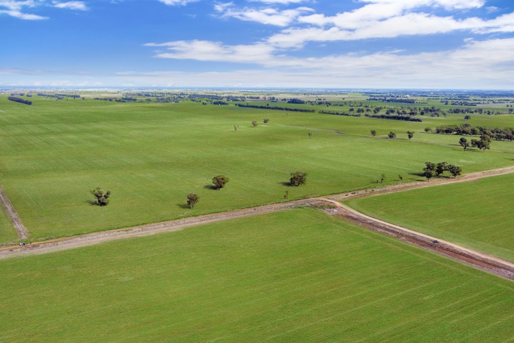 810 Barnes Road, Finley NSW 2713 - photo 7