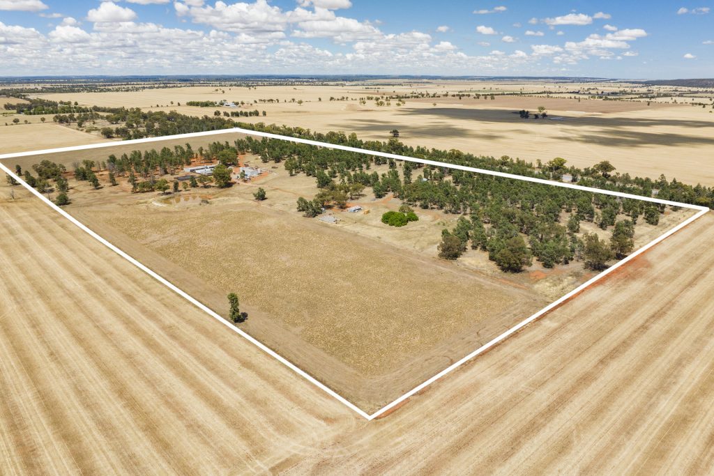 113 East S 2640 Newell Highway, Grong Grong NSW 2652 - photo 2