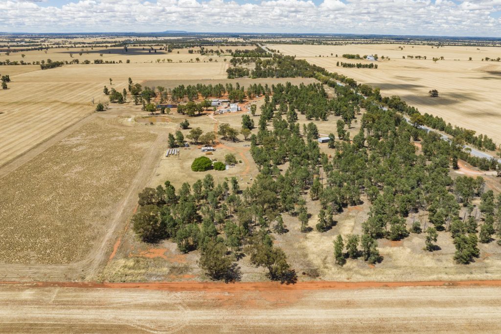 113 East S 2640 Newell Highway, Grong Grong NSW 2652 - photo 3