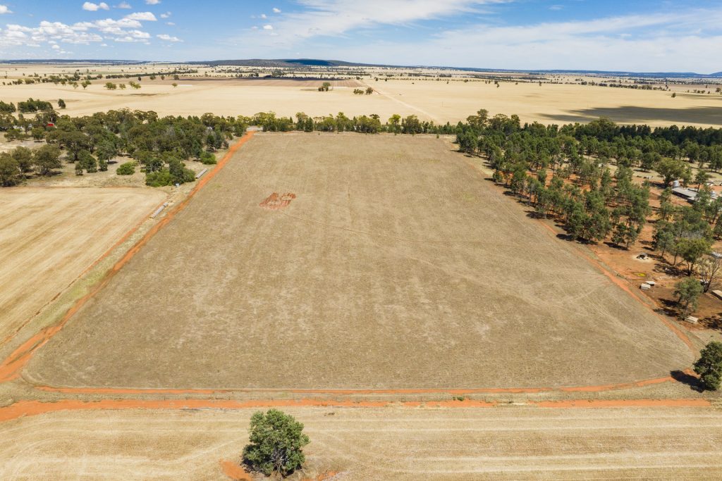 113 East S 2640 Newell Highway, Grong Grong NSW 2652 - photo 4