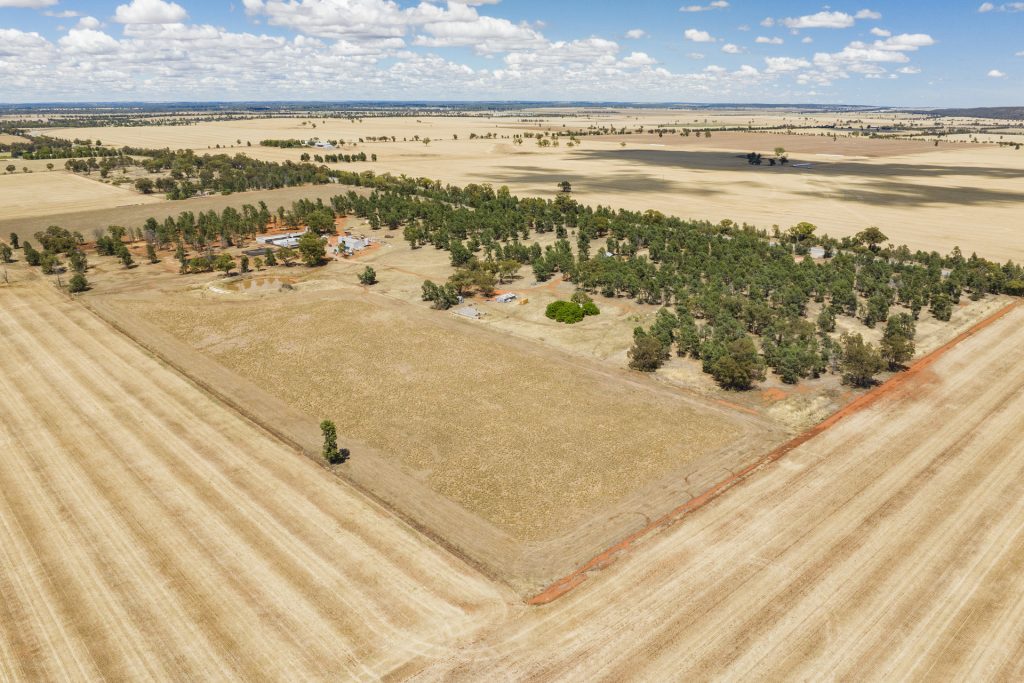 113 East S 2640 Newell Highway, Grong Grong NSW 2652 - photo 5