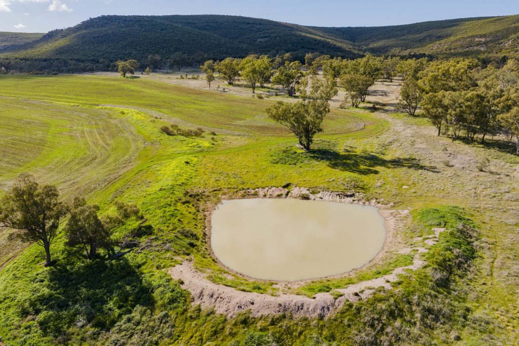 Barellan Road, Colinroobie NSW 2700 - McGrath Riverina