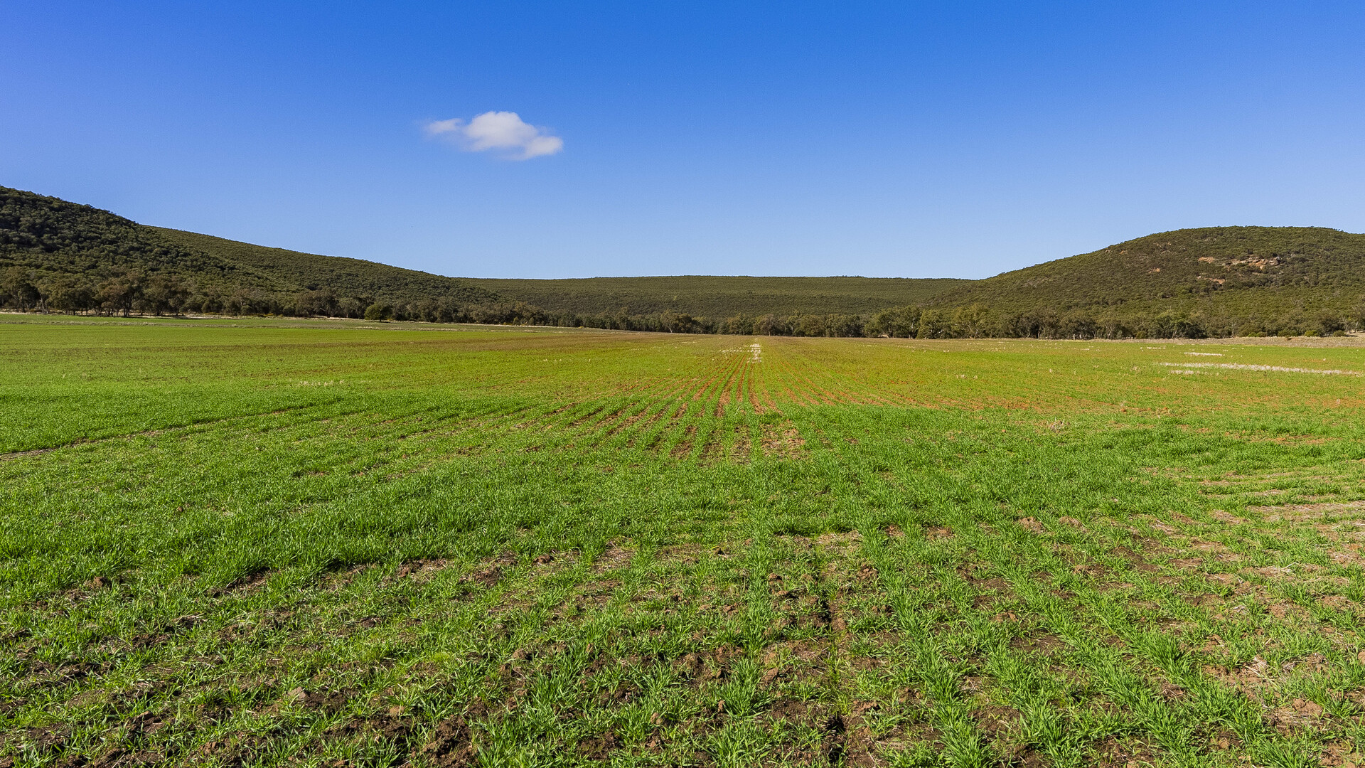 Barellan Road, Colinroobie NSW 2700 - photo 13