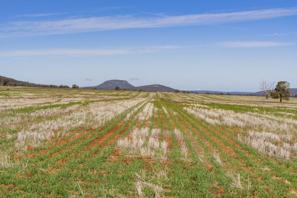 Barellan Road, Colinroobie NSW 2700 - photo 15