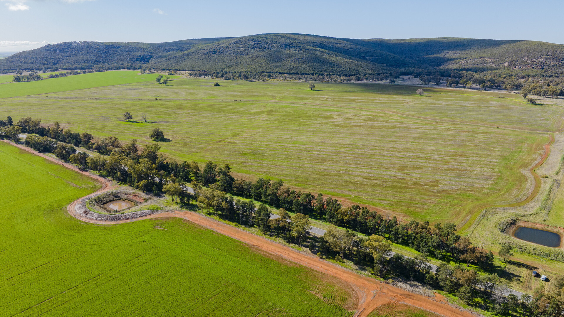 Barellan Road, Colinroobie NSW 2700 - photo 3