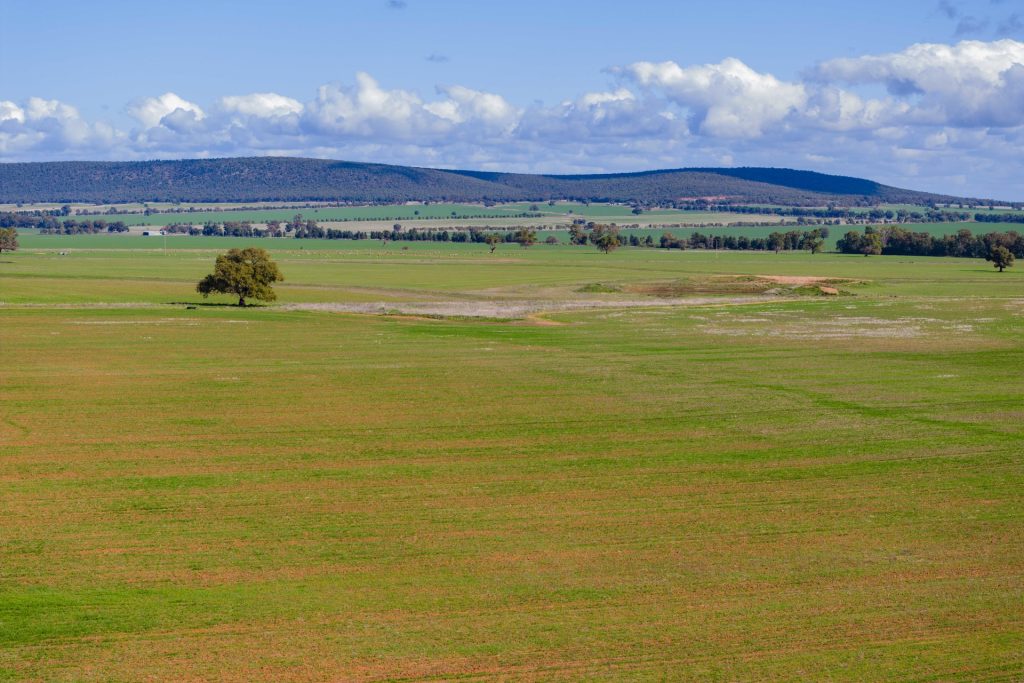 Barellan Road, Colinroobie NSW 2700 - photo 4