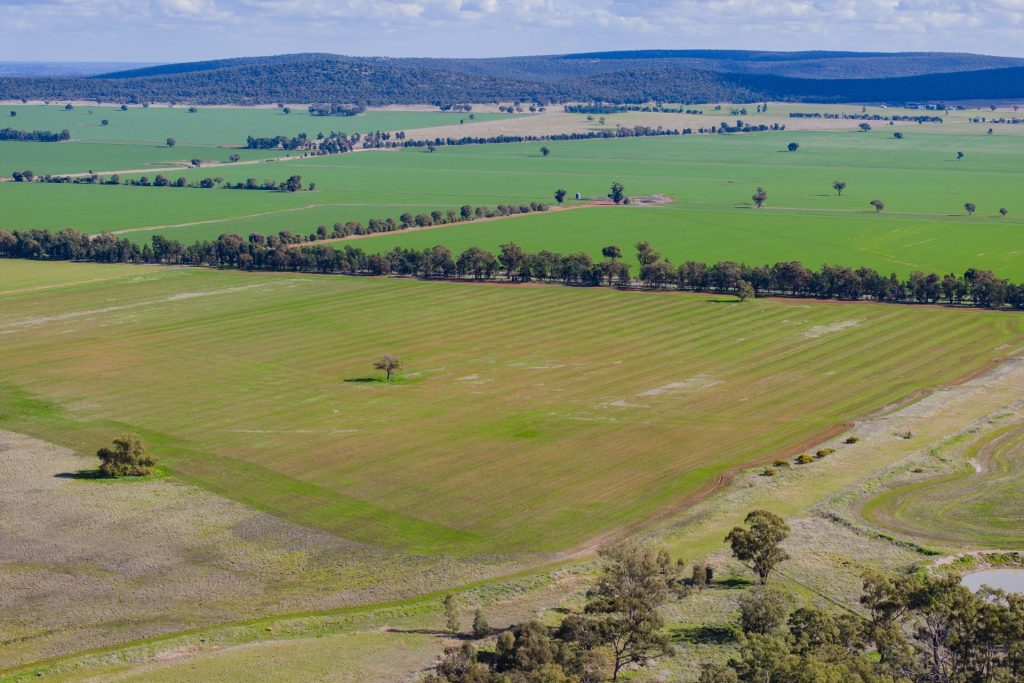 Barellan Road, Colinroobie NSW 2700 - photo 5
