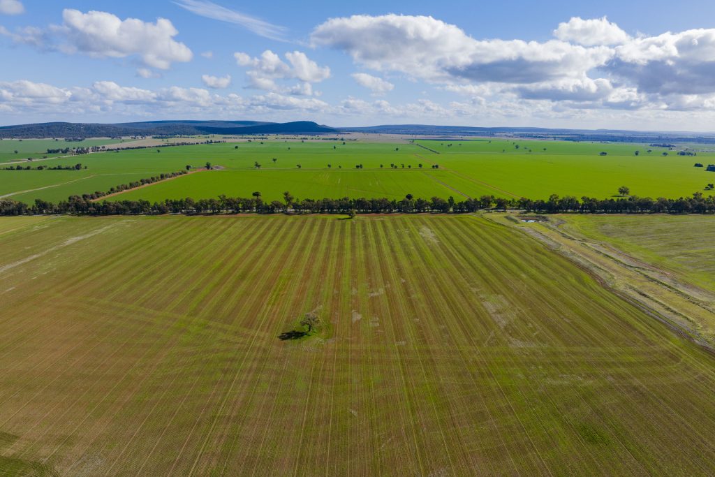 Barellan Road, Colinroobie NSW 2700 - photo 6
