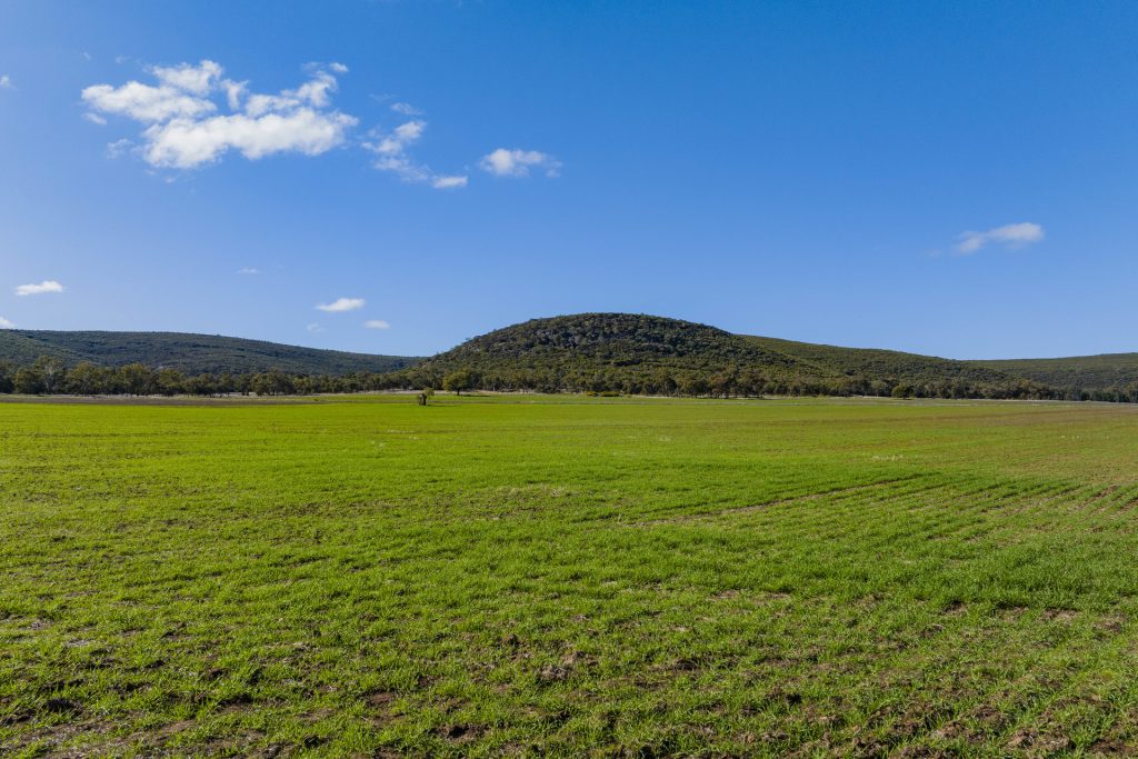 Barellan Road, Colinroobie NSW 2700 - photo 7