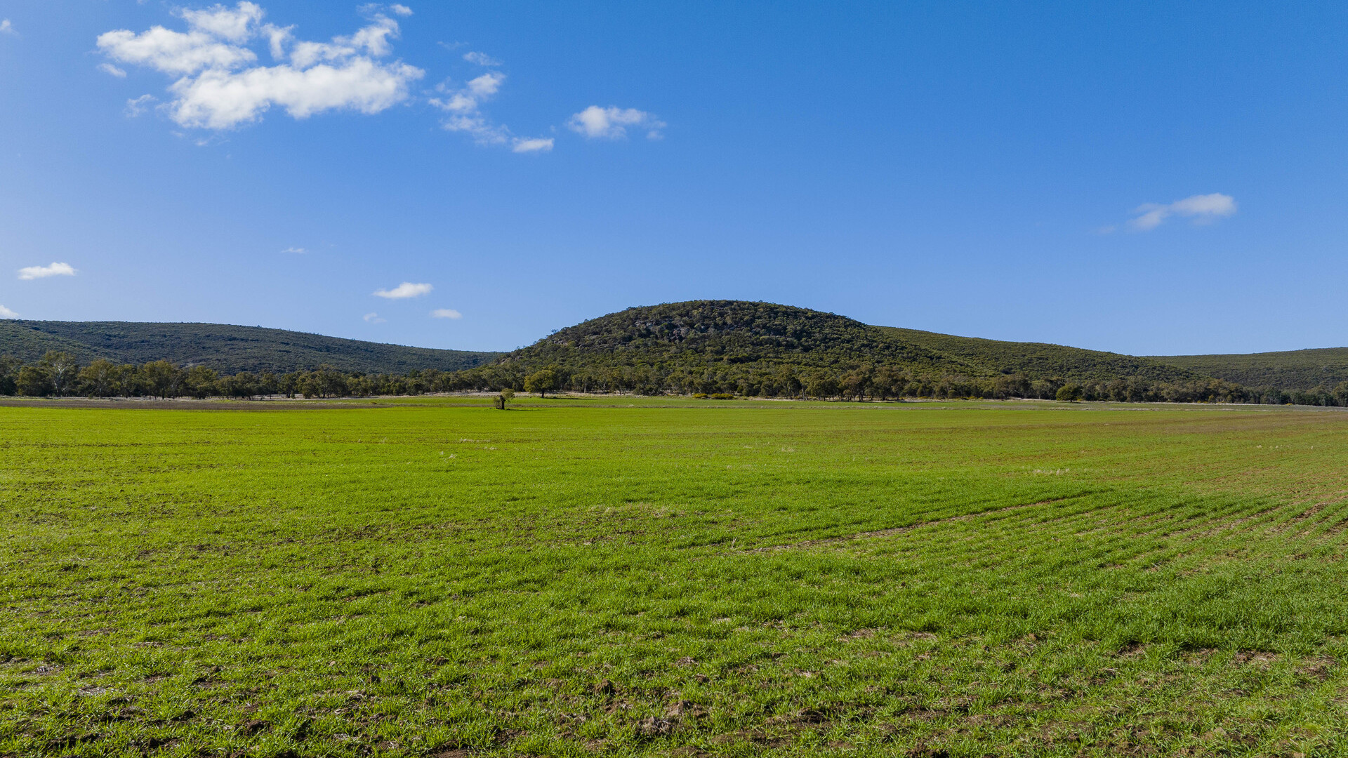 Barellan Road, Colinroobie NSW 2700 - photo 7