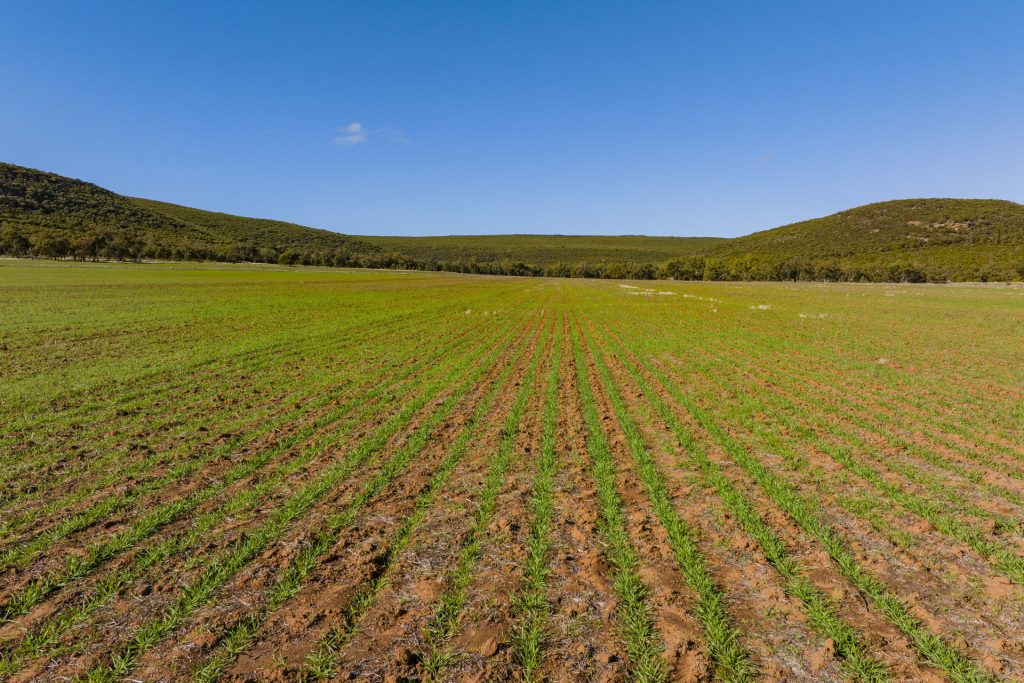 Barellan Road, Colinroobie NSW 2700 - photo 8