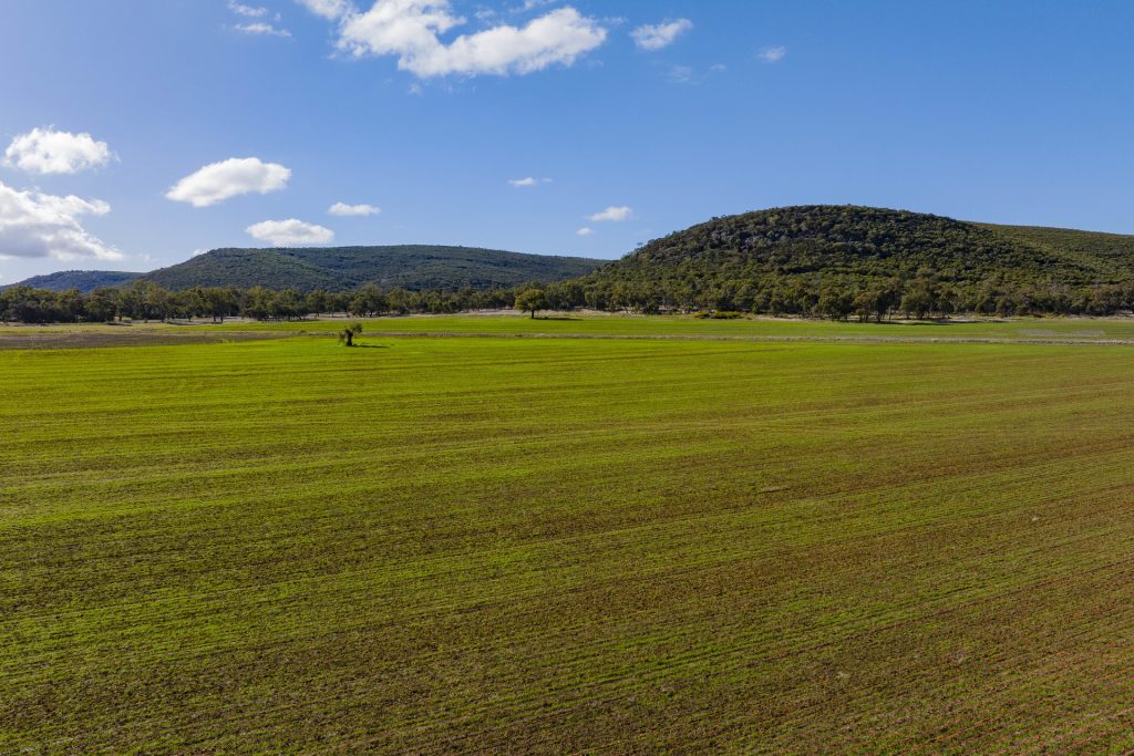 Barellan Road, Colinroobie NSW 2700 - photo 9